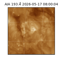 saia - 2026-05-17T08:00:04.842000