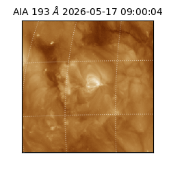 saia - 2026-05-17T09:00:04.842000