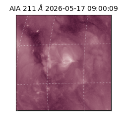 saia - 2026-05-17T09:00:09.624000
