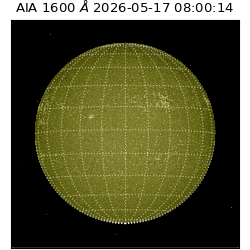 saia - 2026-05-17T08:00:14.123000