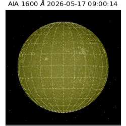 saia - 2026-05-17T09:00:14.123000