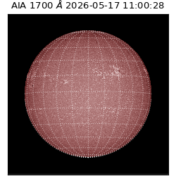 saia - 2026-05-17T11:00:28.717000