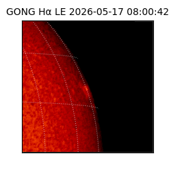 gong - 2026-05-17T08:00:42