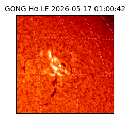 gong - 2026-05-17T01:00:42