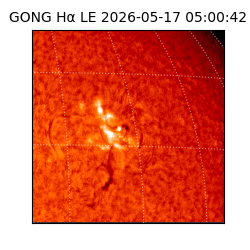 gong - 2026-05-17T05:00:42