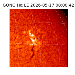 gong - 2026-05-17T08:00:42