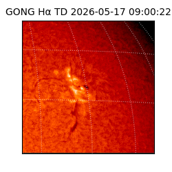 gong - 2026-05-17T09:00:22