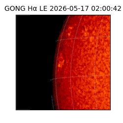 gong - 2026-05-17T02:00:42