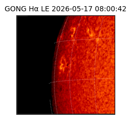 gong - 2026-05-17T08:00:42
