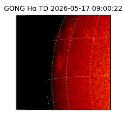 gong - 2026-05-17T09:00:22