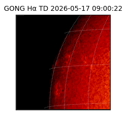 gong - 2026-05-17T09:00:22