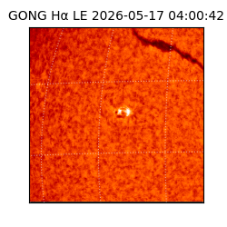 gong - 2026-05-17T04:00:42