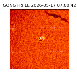 gong - 2026-05-17T07:00:42