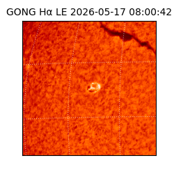 gong - 2026-05-17T08:00:42