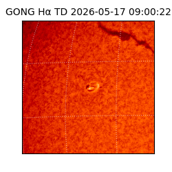 gong - 2026-05-17T09:00:22