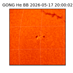 gong - 2026-05-17T20:00:02