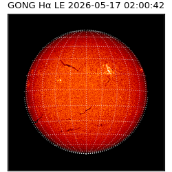 gong - 2026-05-17T02:00:42
