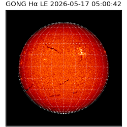 gong - 2026-05-17T05:00:42