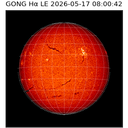 gong - 2026-05-17T08:00:42