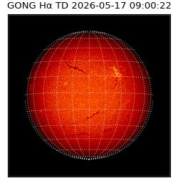 gong - 2026-05-17T09:00:22