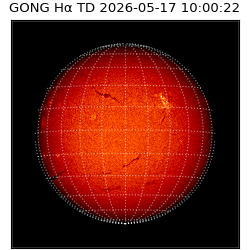 gong - 2026-05-17T10:00:22
