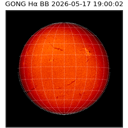 gong - 2026-05-17T19:00:02