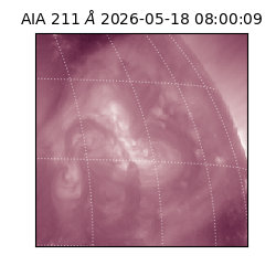 saia - 2026-05-18T08:00:09.623000
