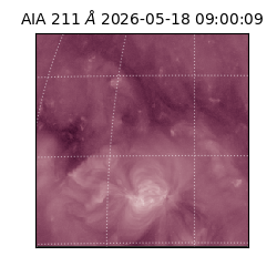 saia - 2026-05-18T09:00:09.631000