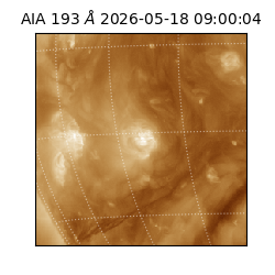 saia - 2026-05-18T09:00:04.842000