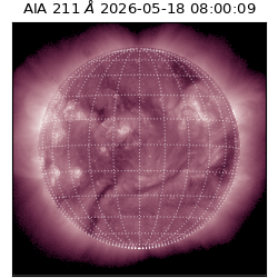 saia - 2026-05-18T08:00:09.623000