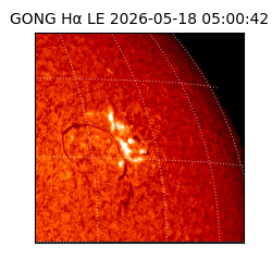 gong - 2026-05-18T05:00:42