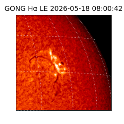 gong - 2026-05-18T08:00:42