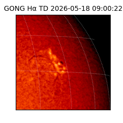 gong - 2026-05-18T09:00:22
