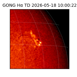 gong - 2026-05-18T10:00:22