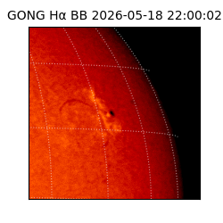 gong - 2026-05-18T22:00:02