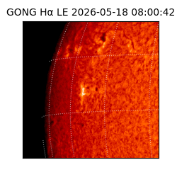 gong - 2026-05-18T08:00:42