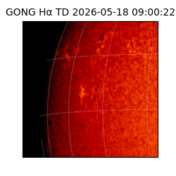 gong - 2026-05-18T09:00:22