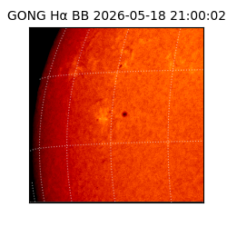 gong - 2026-05-18T21:00:02
