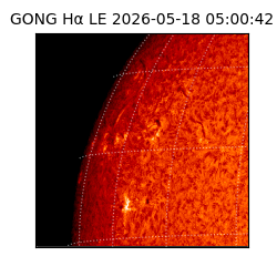 gong - 2026-05-18T05:00:42