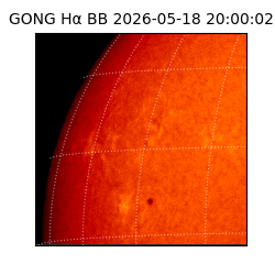 gong - 2026-05-18T20:00:02