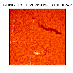 gong - 2026-05-18T06:00:42