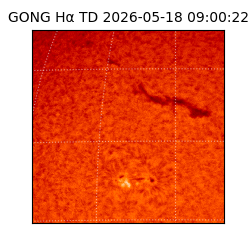gong - 2026-05-18T09:00:22