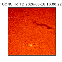 gong - 2026-05-18T10:00:22