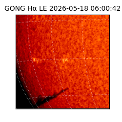gong - 2026-05-18T06:00:42