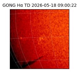 gong - 2026-05-18T09:00:22