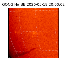 gong - 2026-05-18T20:00:02