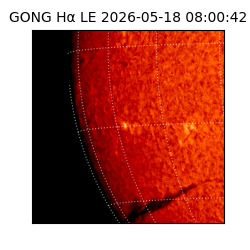 gong - 2026-05-18T08:00:42