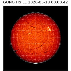 gong - 2026-05-18T00:00:42
