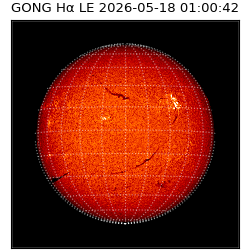 gong - 2026-05-18T01:00:42