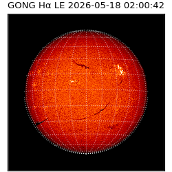 gong - 2026-05-18T02:00:42